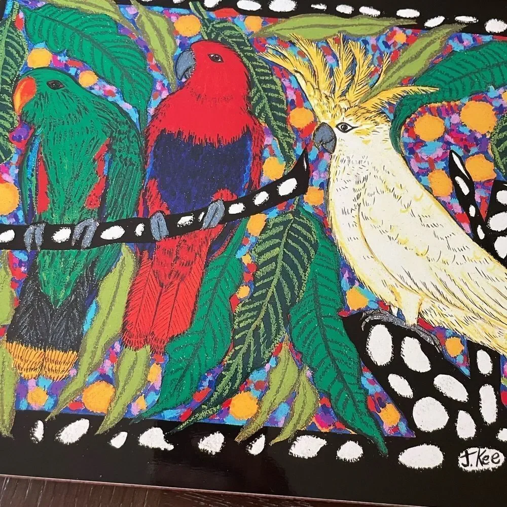 Jenny Kee Designer Tropical Birds Vintage Australian Cork Gloss Placemats set/6